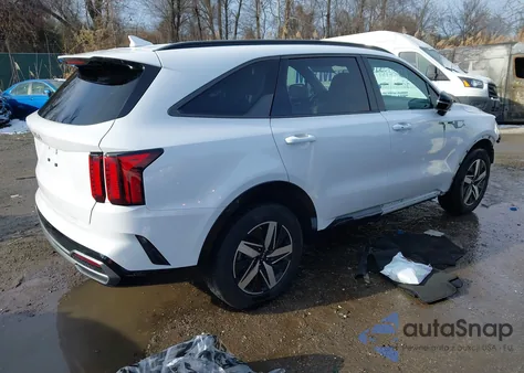 2023 Kia Sorento S z USA, uszkodzony, nr VIN 5XYRL4LC5PG220380